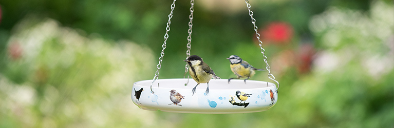 L’abreuvoir parfait pour les oiseaux