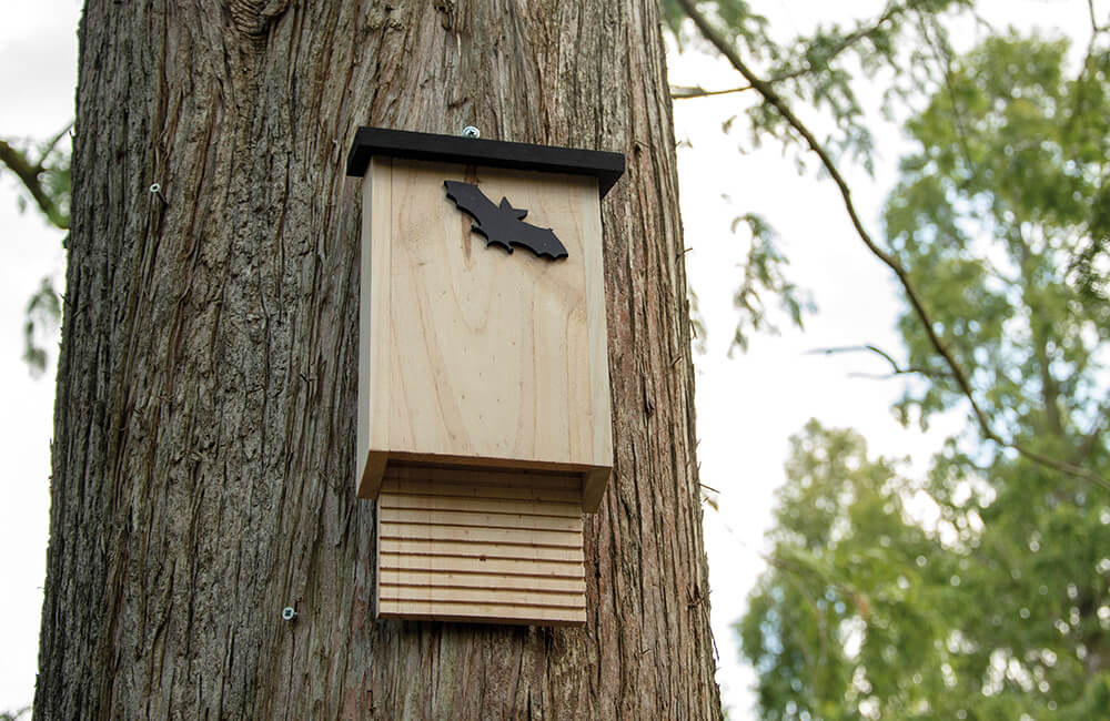 Une boîte à chauves-souris en bois sur un arbre