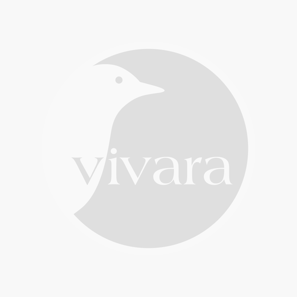 Arrosoir vert pour enfant