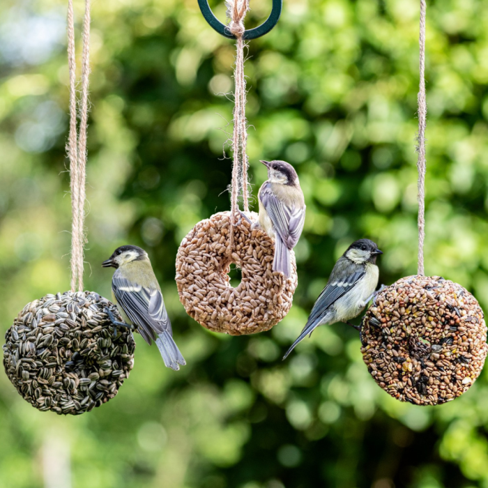 Mangeoire à graines d'arachides et de tournesol pour oiseaux du jardin