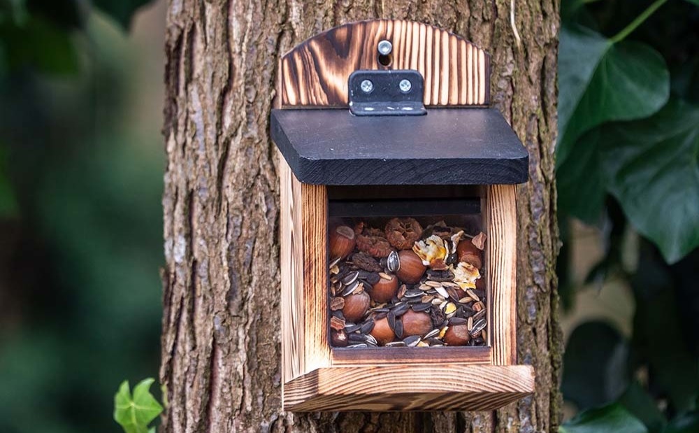 Une mangeoire pour écureuils montée sur un arbre