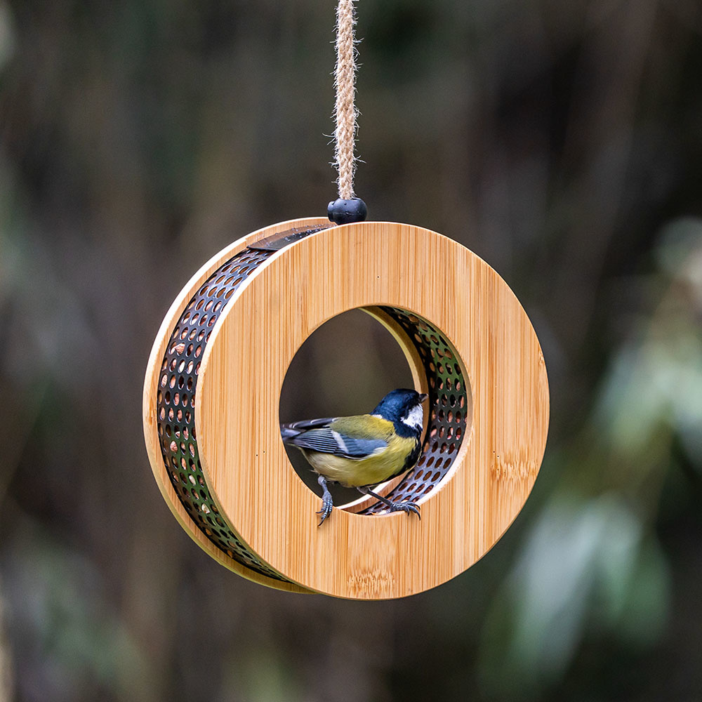 Une grande mésange dans une mangeoire
