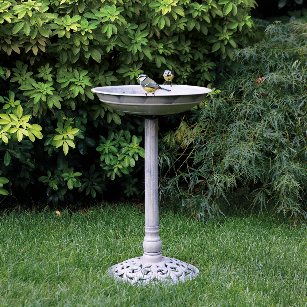 Un oiseau sur le bord d'un bain d'oiseaux sur pied