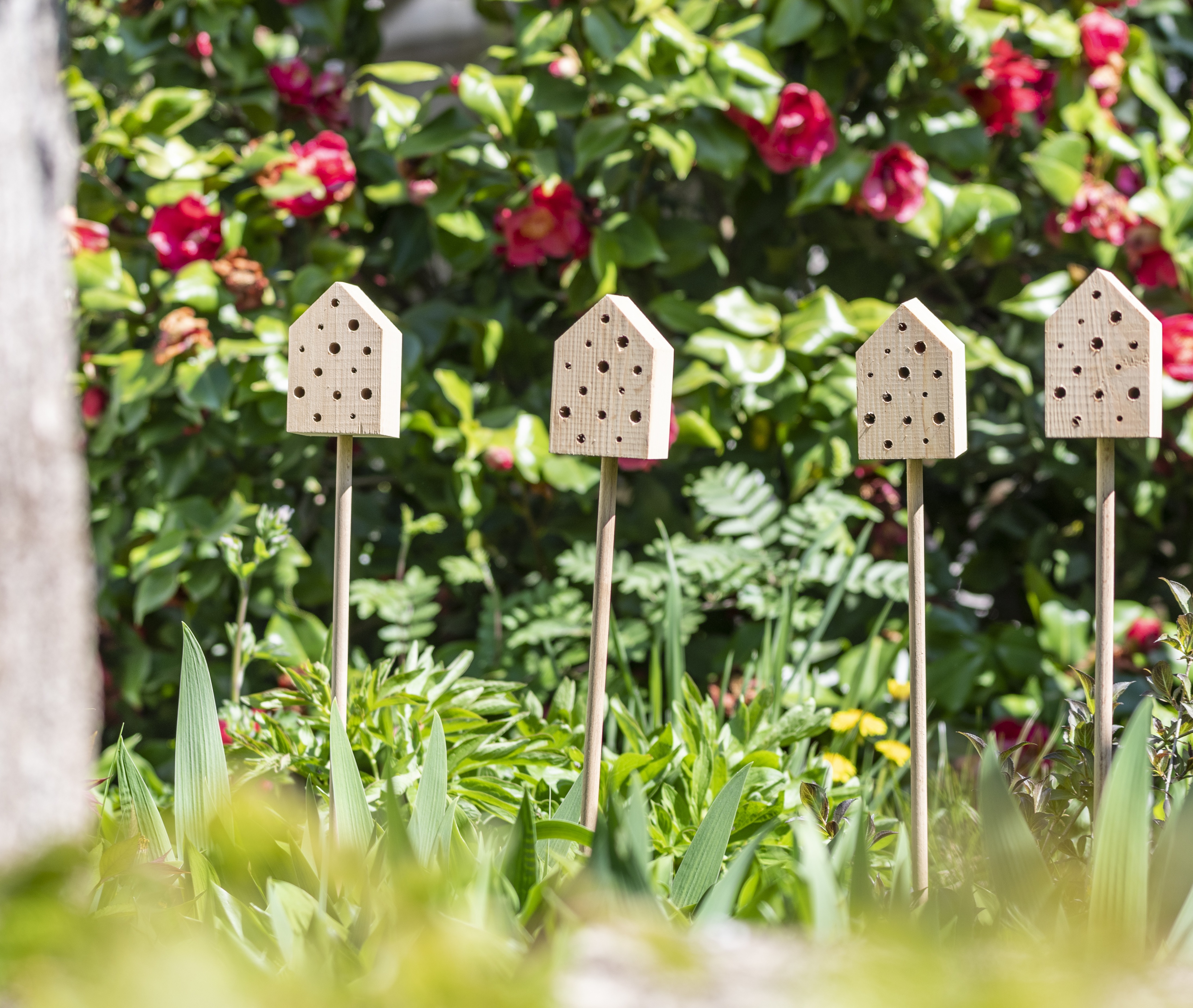 Une photo de quatre hôtels à insectes sur un poteau dans le jardin