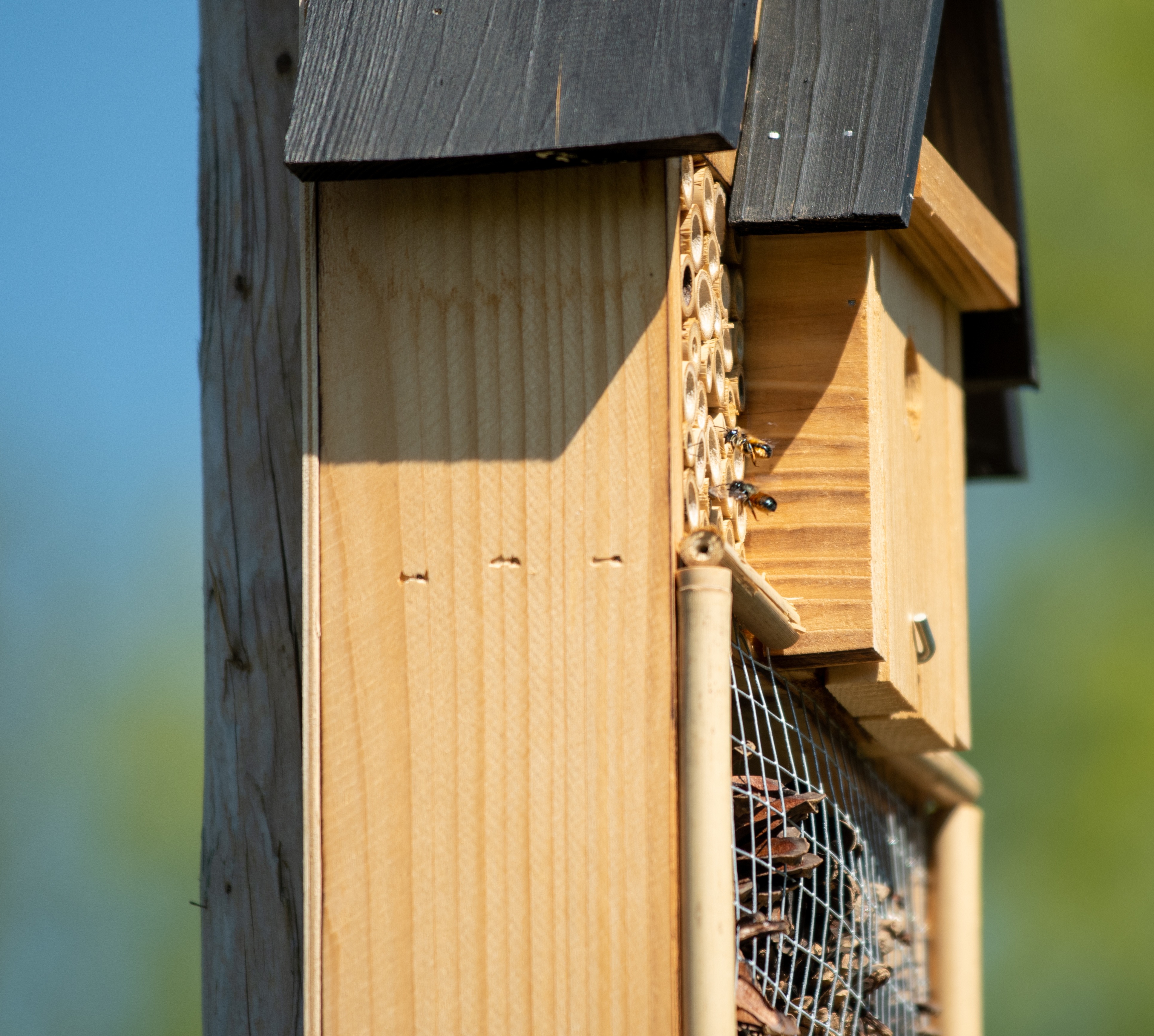 Une photo d'un hôtel à insectes en bois