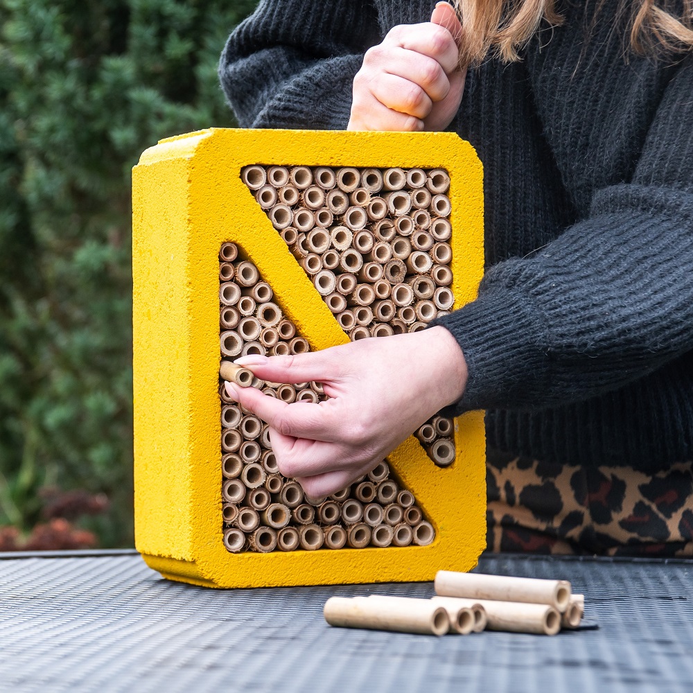 Un hôtel à insectes est rempli de bois de bambou.
