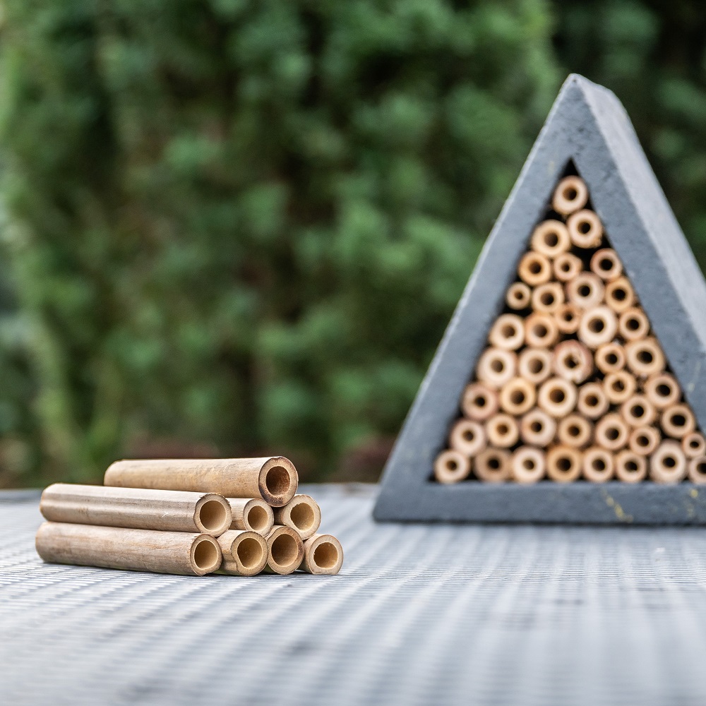 bois de bambou pour un hôtel à insectes