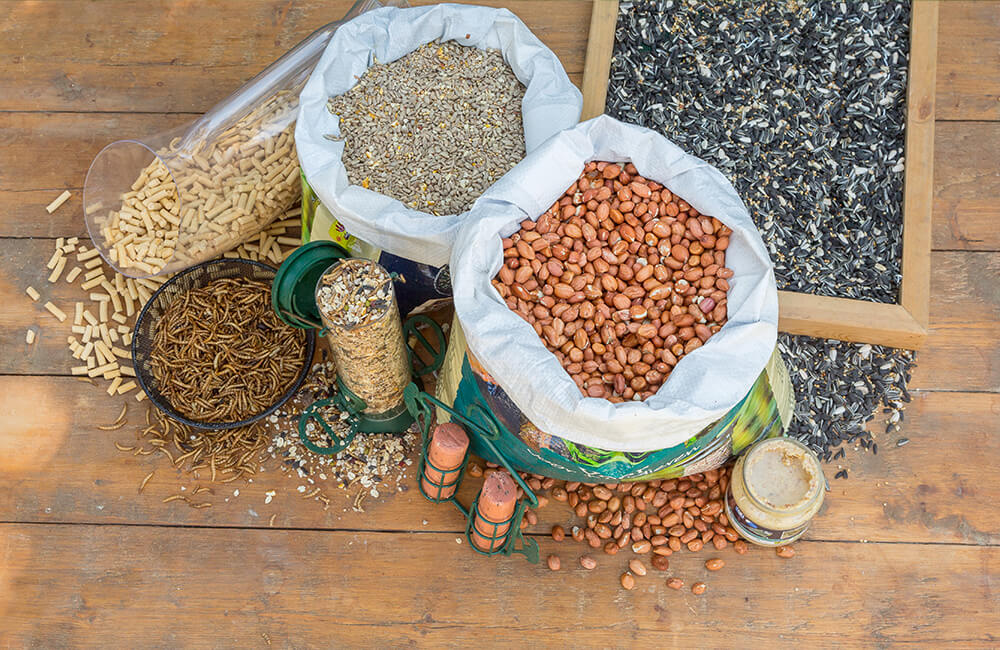 Une vari&eacute;t&eacute; d'aliments pour oiseaux, notamment des cacahu&egrave;tes, des graines de tournesol, des vers de farine et des m&eacute;langes de graines.