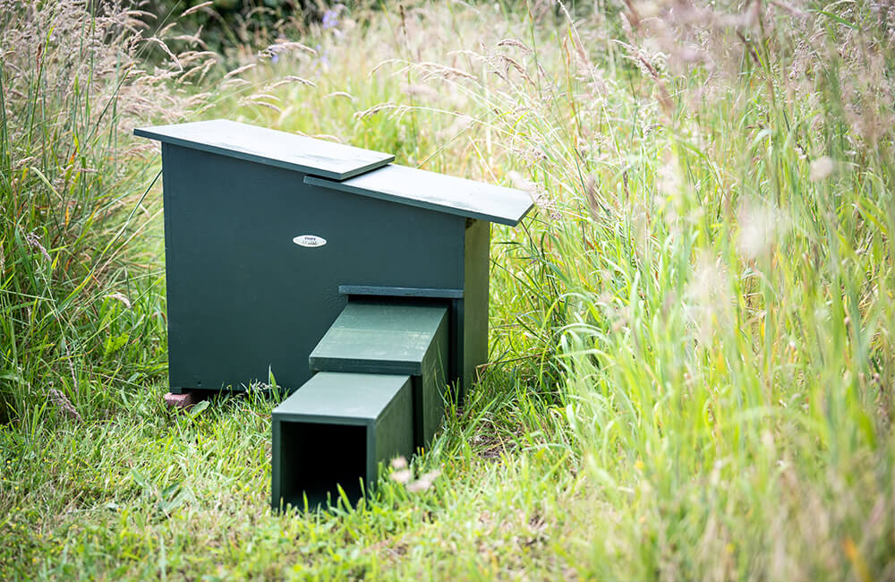 Une maison professionnelle pour h&eacute;rissons