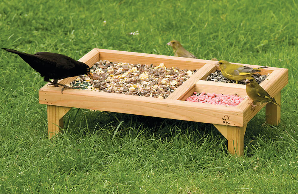 Plusieurs oiseaux sur une table &agrave; oiseaux