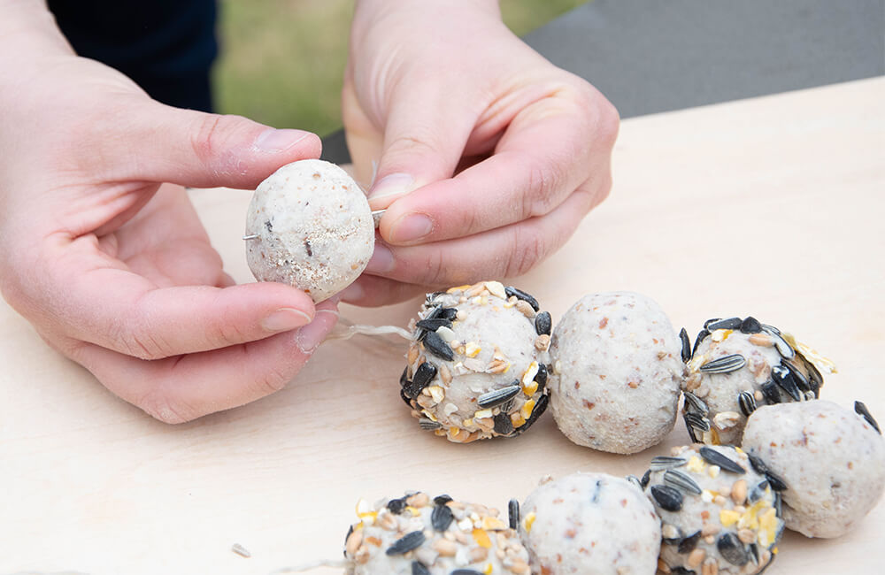 P&acirc;te &agrave; modeler au beurre de cacahu&egrave;te, qui peut &eacute;galement &ecirc;tre utilis&eacute;e pour les boules de graisse.