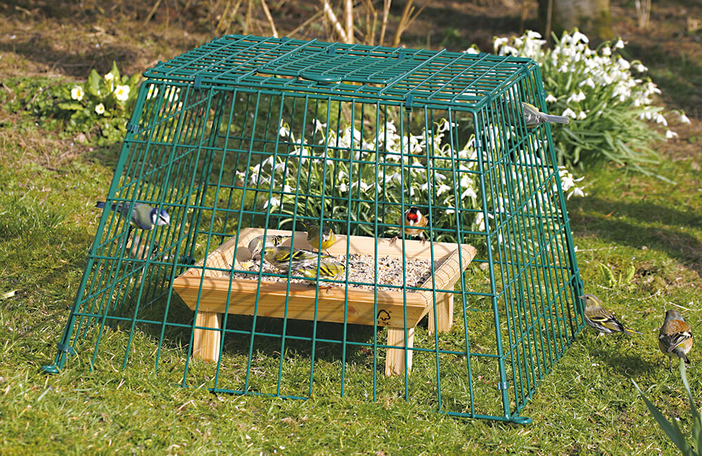 Une cage de protection placée autour d'une mangeoire avec quelques petits oiseaux à l'intérieur.