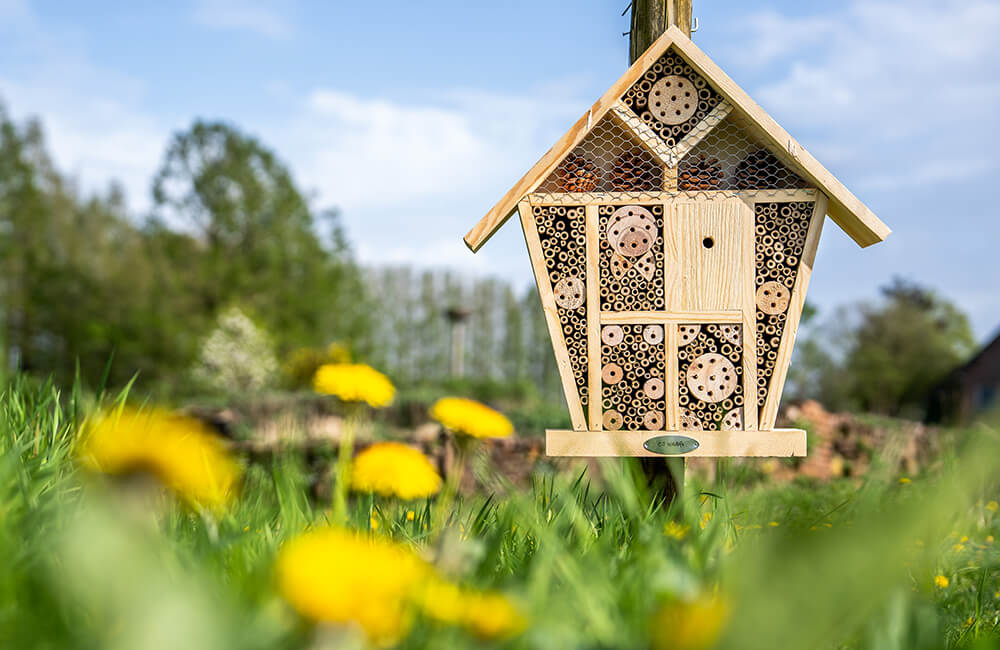 Un h&ocirc;tel pour abeilles situ&eacute; dans une nature luxuriante.