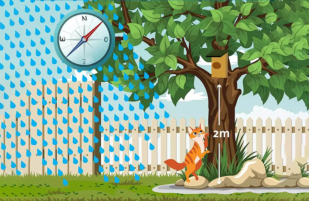 Infographie sur la hauteur d'un nichoir &agrave; oiseaux