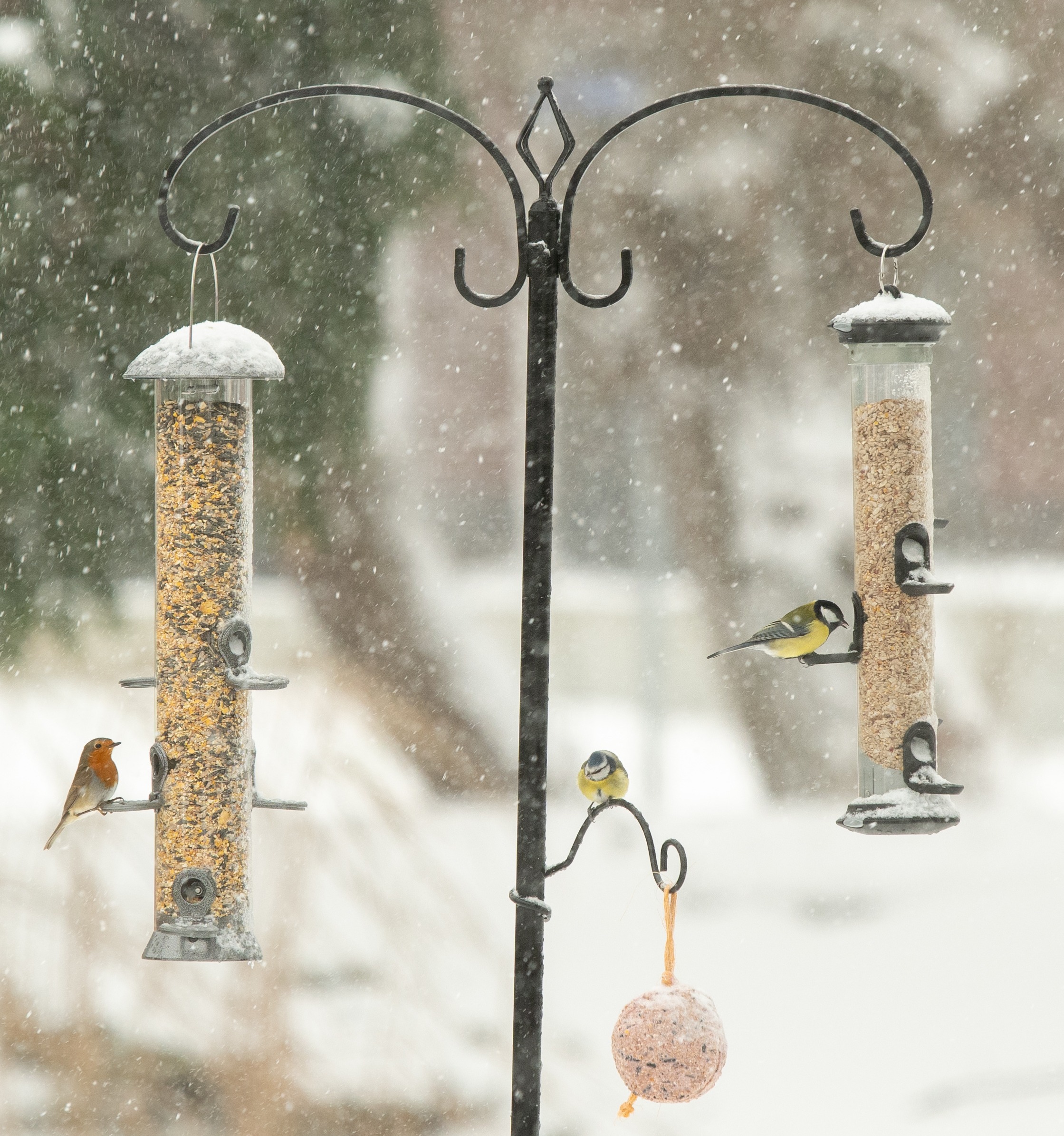 Deux silos à fourrage dans le jardin sous la neige